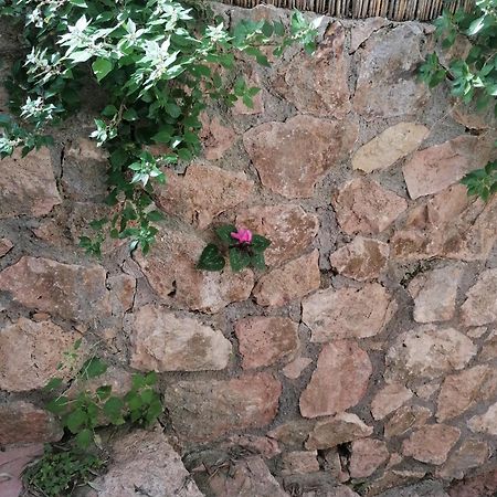 Panoramica Flat Porto Santo Stefano (Grosseto) Exterior foto