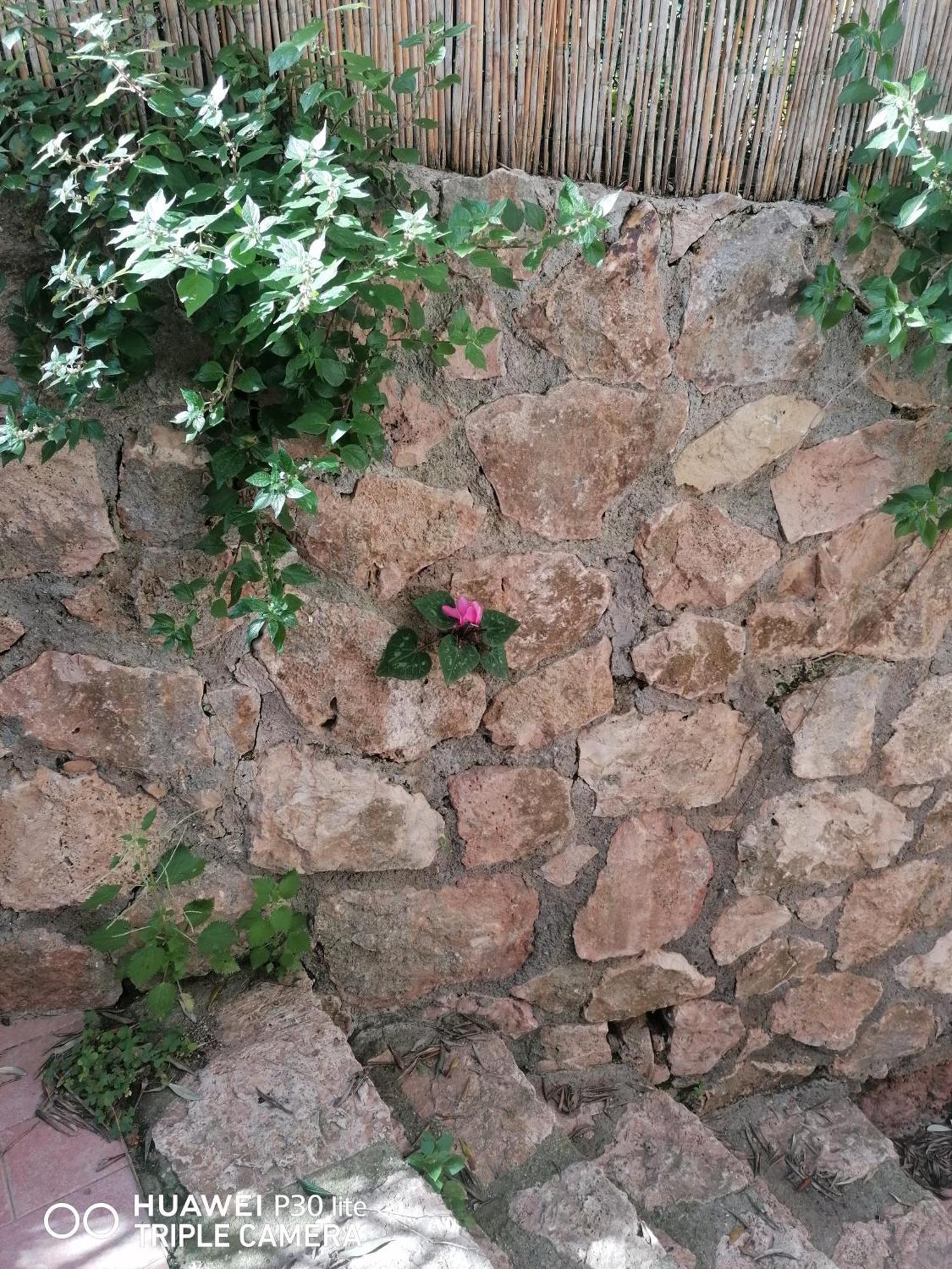 Panoramica Flat Porto Santo Stefano (Grosseto) Exterior foto